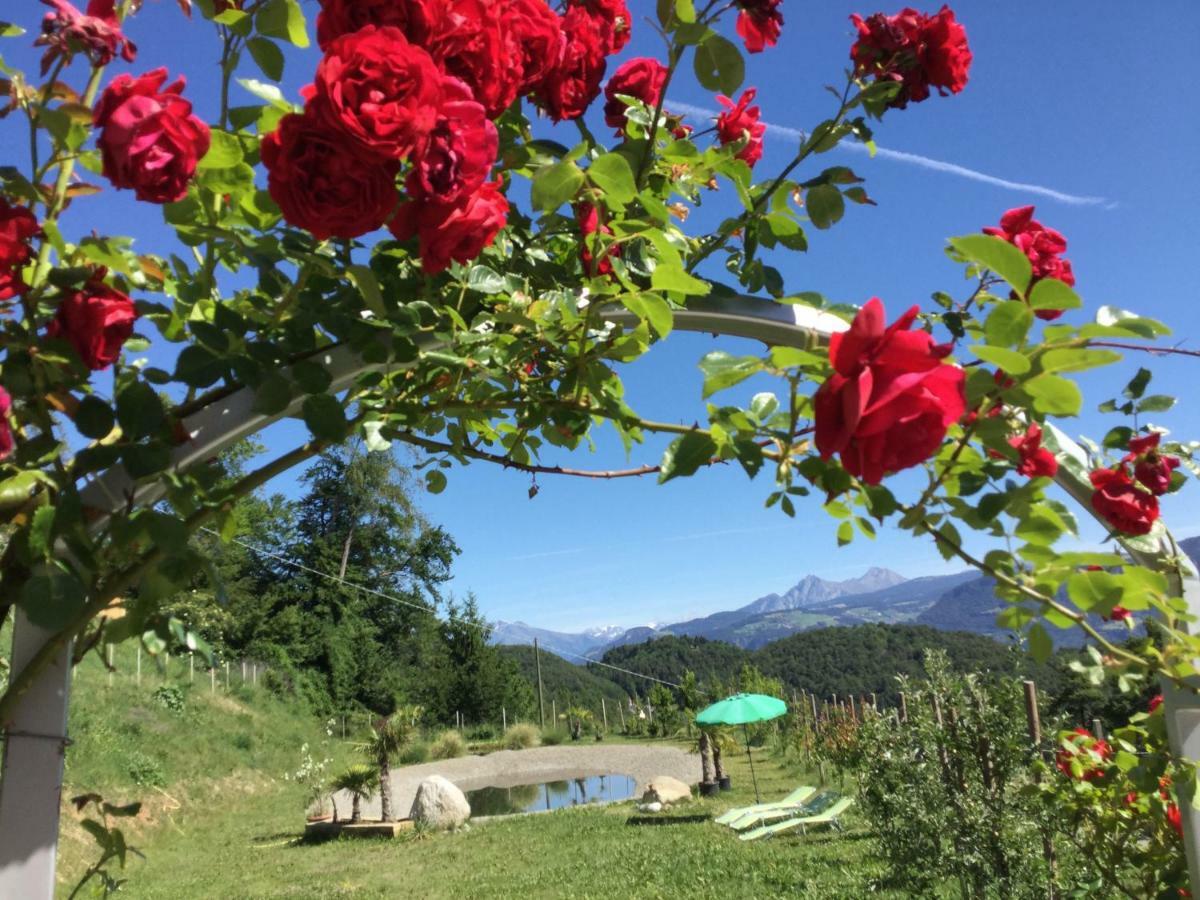 Pichler-Hof Daire Predonico Dış mekan fotoğraf